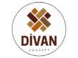 Divan Consept